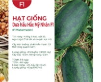 Hạt giống Dưa hấu Hắc Mỹ Nhân 547AQ - Thủy lôi