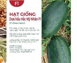 Hạt giống Dưa hấu Hắc Mỹ Nhân 547AQ - Thủy lôi