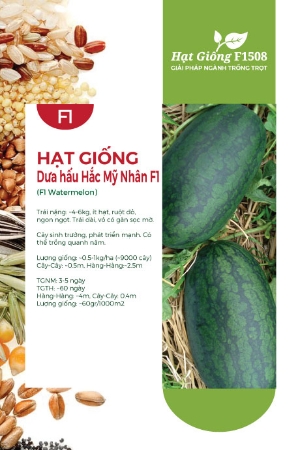 Hạt giống Dưa hấu Hắc Mỹ Nhân 547AQ - Thủy lôi