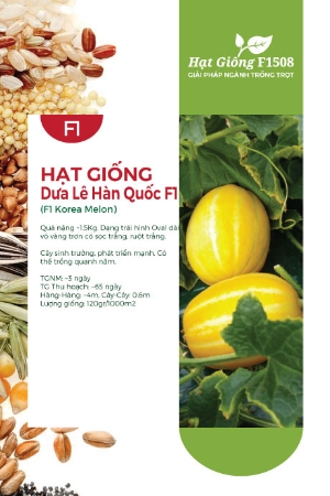 Hạt giống Dưa lê Hàn Quốc F1