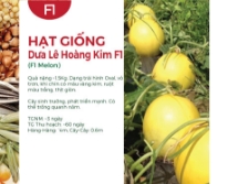 Hạt giống Dưa lê Hoàng Kim F1