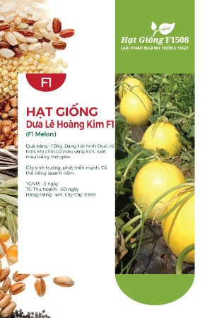 Hạt giống Dưa lê Hoàng Kim F1
