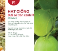 Hạt giống Dưa lê tròn xanh F1