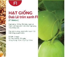Hạt giống Dưa lê tròn xanh F1