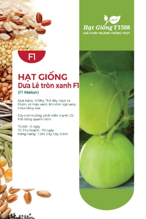 Hạt giống Dưa lê tròn xanh F1