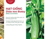 Hạt giống Dưa leo baby F1508