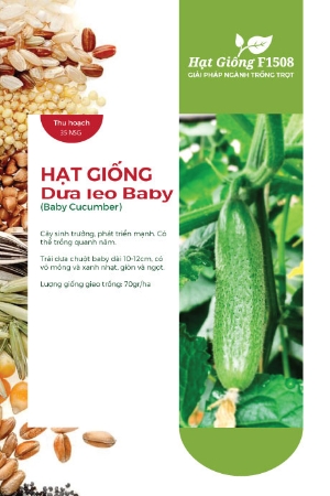 Hạt giống Dưa leo baby F1508