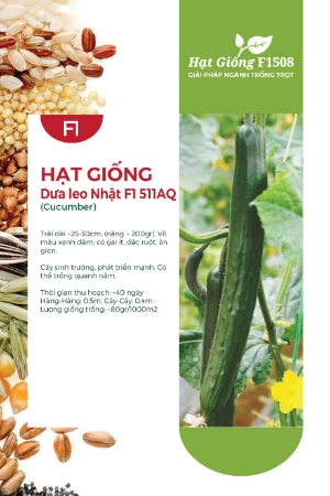 Hạt giống Dưa leo Nhật F1 511AQ