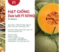 Hạt giống Dưa lưới F1 501NQ