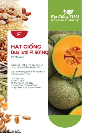 Hạt giống Dưa lưới F1 501NQ