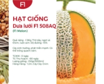 Hạt giống Dưa lưới F1 508AQ