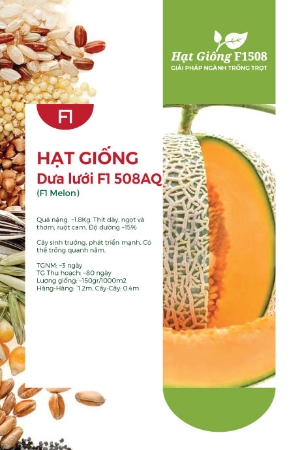 Hạt giống Dưa lưới F1 508AQ
