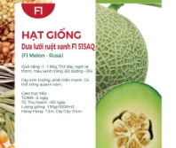 Hạt giống Dưa lưới ruột xanh F1 515AQ