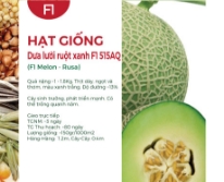 Hạt giống Dưa lưới ruột xanh F1 515AQ