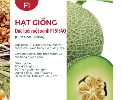 Hạt giống Dưa lưới ruột xanh F1 515AQ
