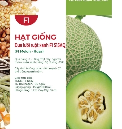 Hạt giống Dưa lưới ruột xanh F1 515AQ