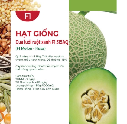 Hạt giống Dưa lưới ruột xanh F1 515AQ