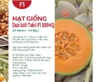 Hạt giống Dưa lưới Takii F1 509HQ Nhật Bản