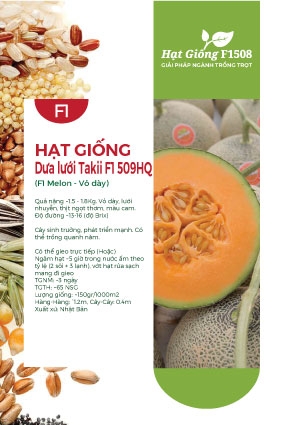 Hạt giống Dưa lưới Takii F1 509HQ Nhật Bản