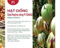 Hạt giống Dưa Pepino vàng F1 536AQ
