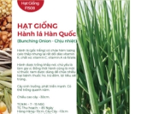 Hạt giống Hành lá Hàn Quốc - Chịu nhiệt