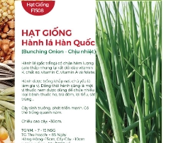 Hạt giống Hành lá Hàn Quốc - Chịu nhiệt
