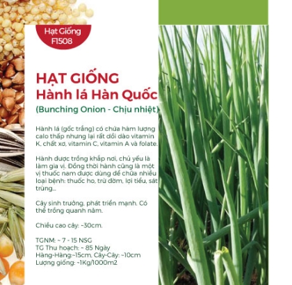 Hạt giống Hành lá Hàn Quốc - Chịu nhiệt