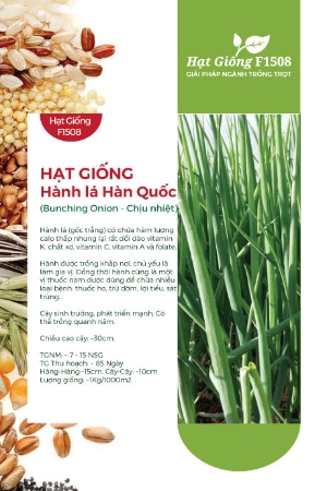 Hạt giống Hành lá Hàn Quốc - Chịu nhiệt
