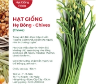 Hạt giống Hẹ bông 