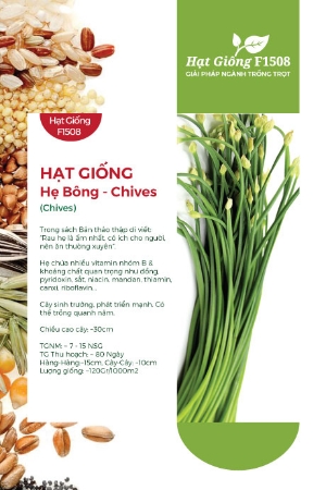 Hạt giống Hẹ bông 