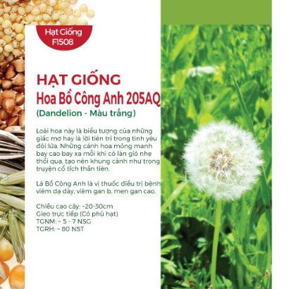 Hạt giống hoa Bồ công anh 205AQ