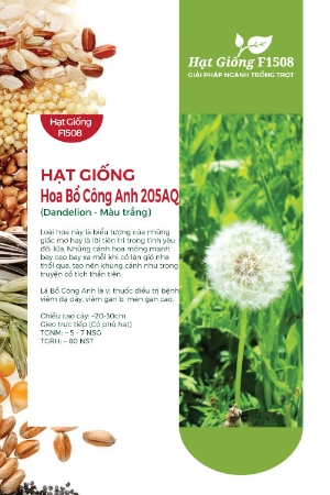 Hạt giống hoa Bồ công anh 205AQ