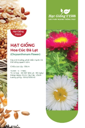Hạt giống Hoa cúc Đà Lạt - Gói 20Gr