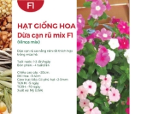 Hạt giống Hoa Dừa cạn rũ mix F1