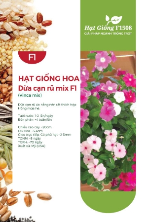 Hạt giống Hoa Dừa cạn rũ mix F1