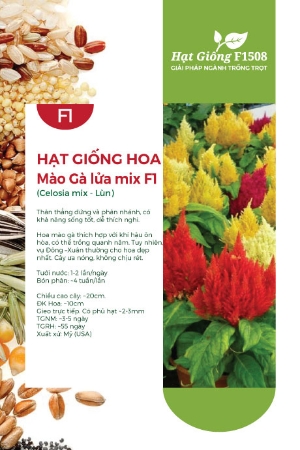 Hạt giống hoa Mào gà lửa mix F1