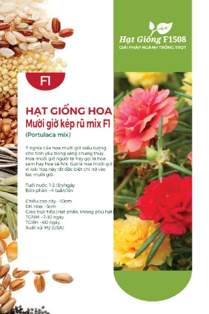 Hạt giống hoa Mười giờ kép rũ mix F1