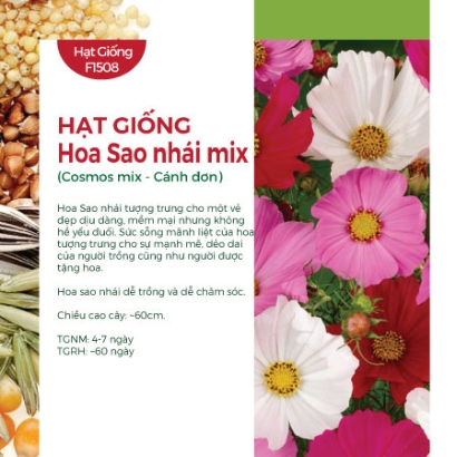 Hạt giống Hoa sao nhái đơn mix