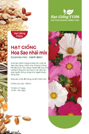 Hạt giống Hoa sao nhái đơn mix
