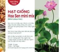 Hạt giống Hoa Sen mini mix