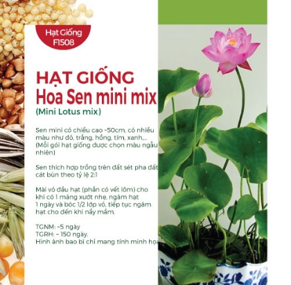 Hạt giống Hoa Sen mini mix