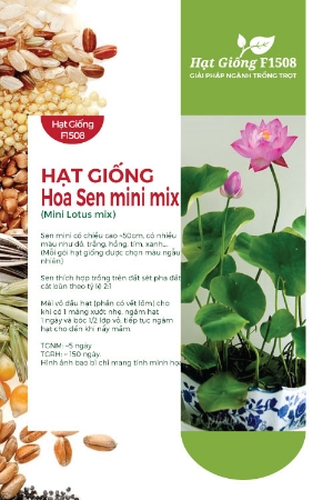Hạt giống Hoa Sen mini mix