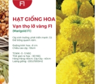Hạt giống Hoa vạn thọ lỡ vàng - Gói 1Gr