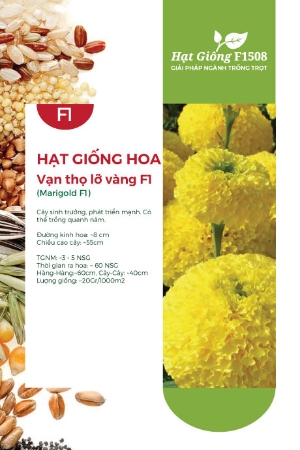 Hạt giống Hoa vạn thọ lỡ vàng - Gói 1Gr