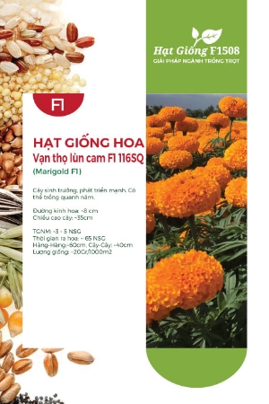 Hạt giống Hoa Vạn Thọ lùn cam F1 116SQ - Gói 1Gr