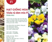 Hạt giống hoa Viola rũ mix F1