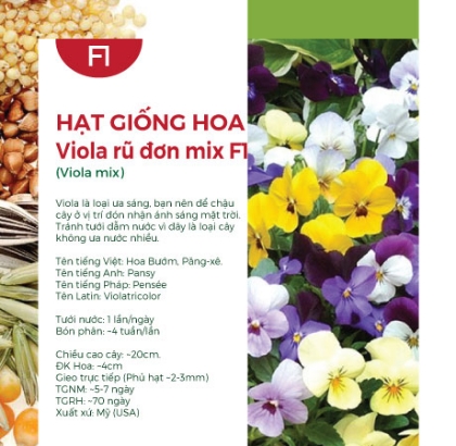 Hạt giống hoa Viola rũ mix F1