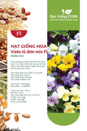 Hạt giống hoa Viola rũ mix F1