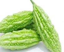 Hạt giống Khổ qua F1 596AQ - Da trơn trái dài