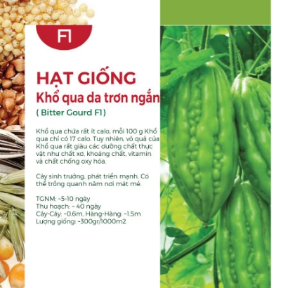 Hạt giống Khổ qua F1 595AQ - Da trơn trái ngắn